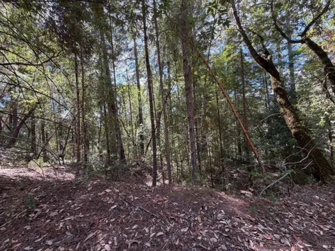 6911 Timber Drive