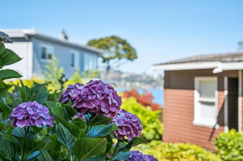47 Bulkley Avenue Sausalito, CA 94965