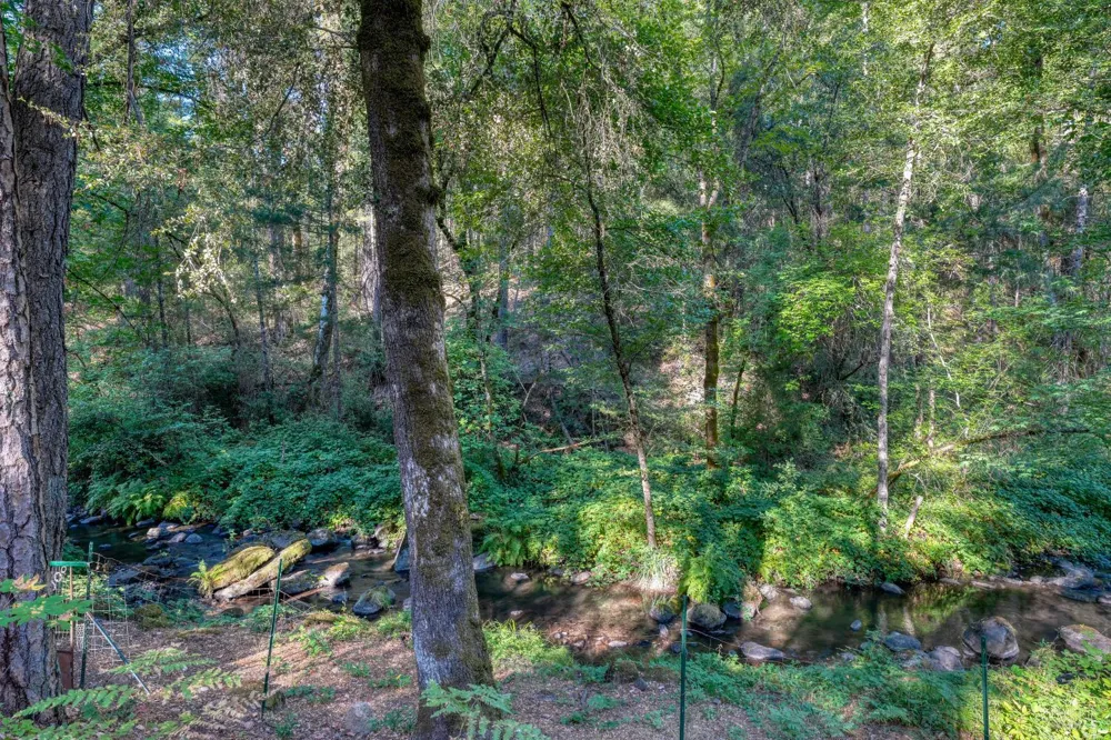 15785 Rainbow Drive Cobb, CA 95426