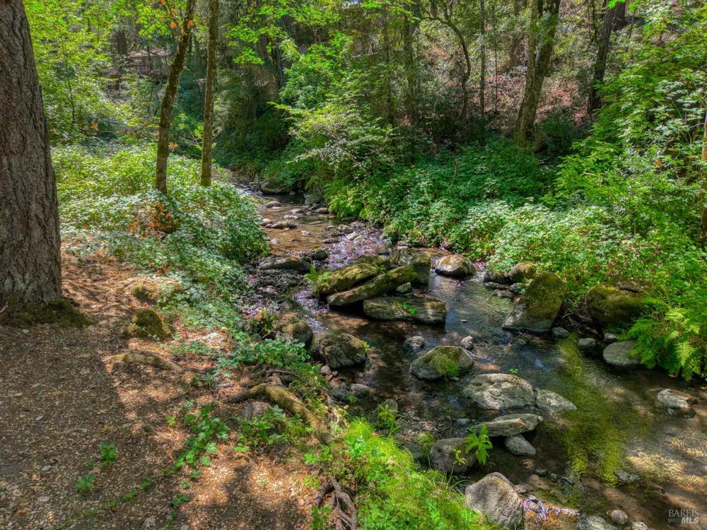 15785 Rainbow Drive Cobb, CA 95426
