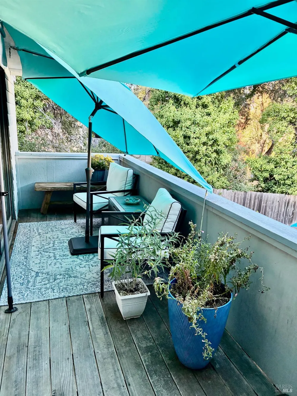 105 Virginia Avenue ##2 Sebastopol, CA 95472