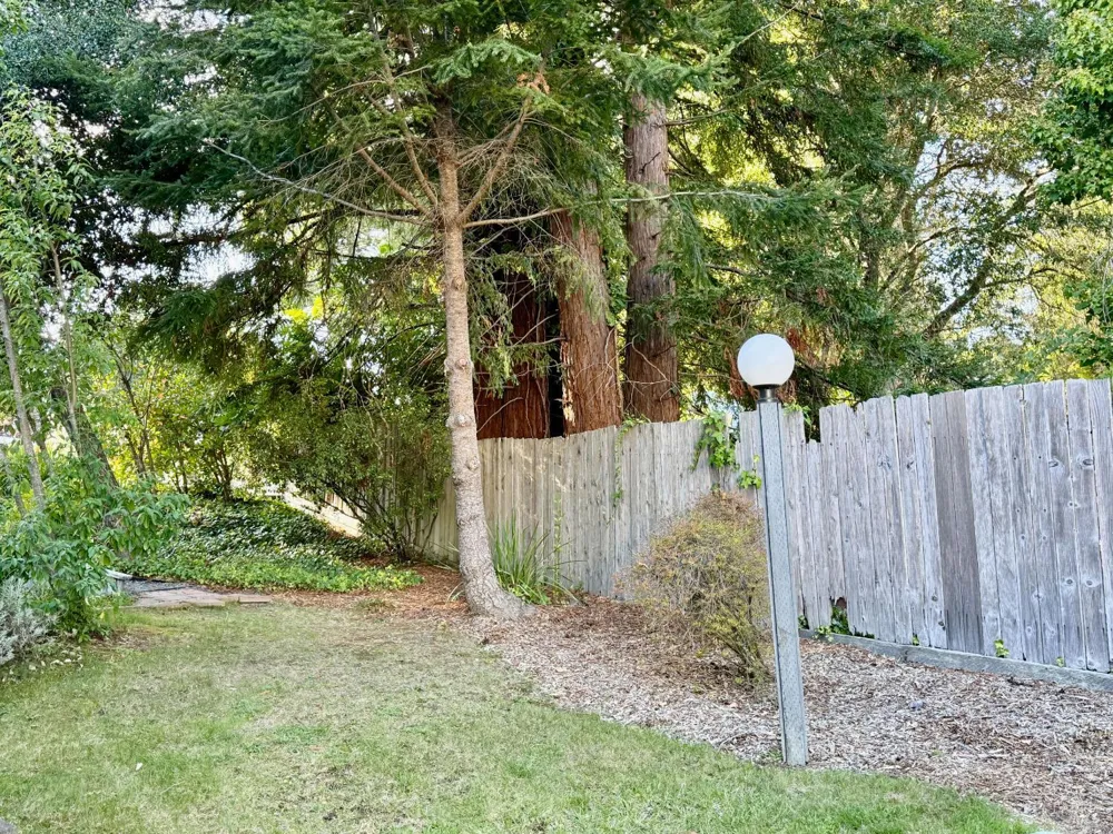 105 Virginia Avenue ##2 Sebastopol, CA 95472