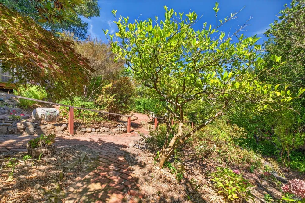 7180 Evan Avenue Sebastopol, CA 95472