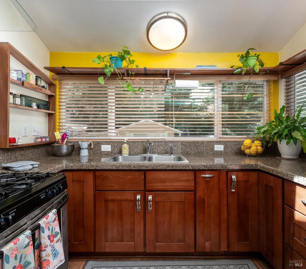 9195 Rio Dell Court Forestville, CA 95436