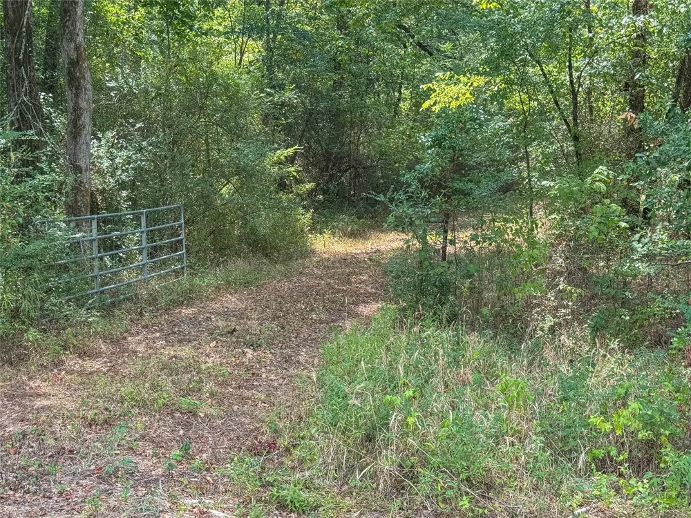 Pine Tree Road Longview, TX 75604