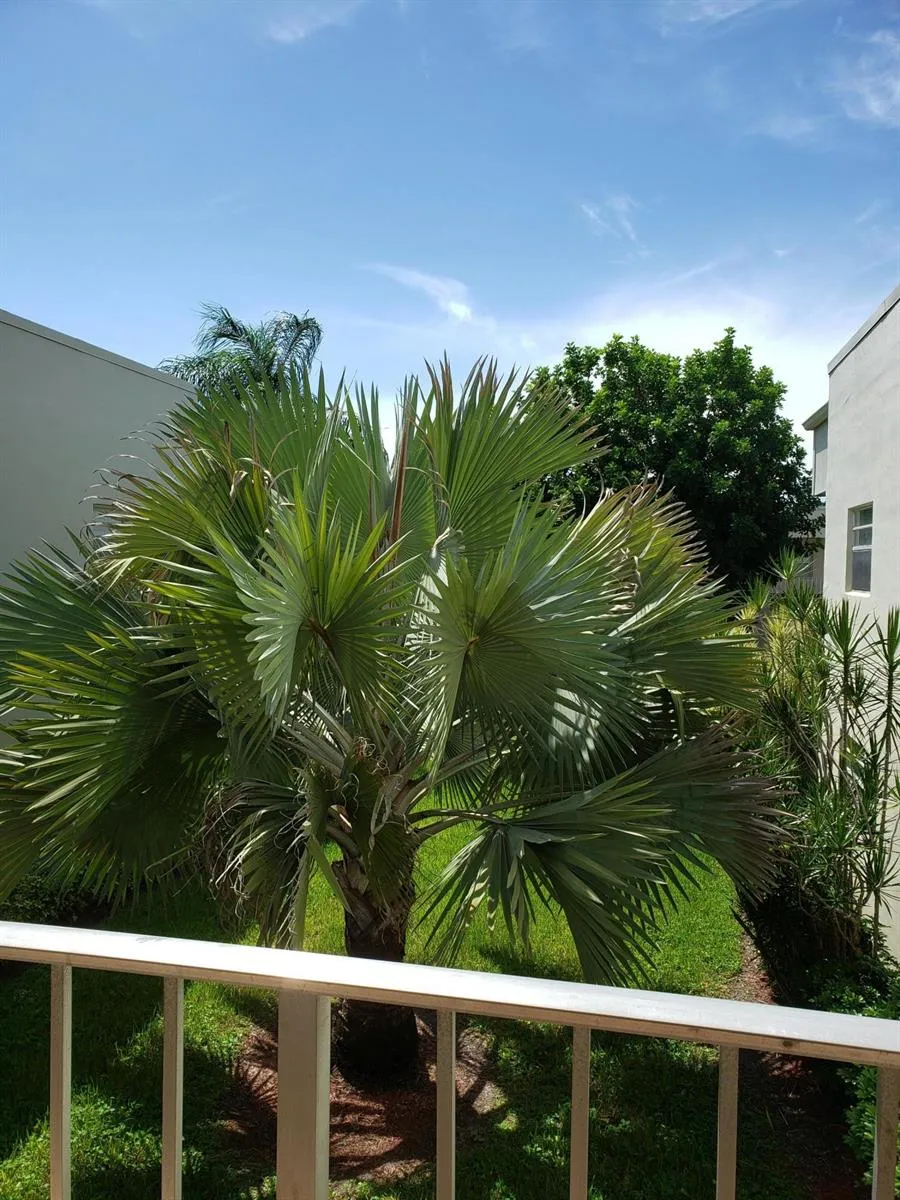 904 FLANDERS DRIVE S Delray Beach, FL 33484