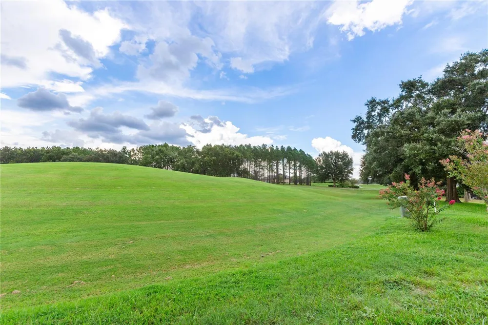1545 DIMAGGIO PATH Hernando, FL 34442