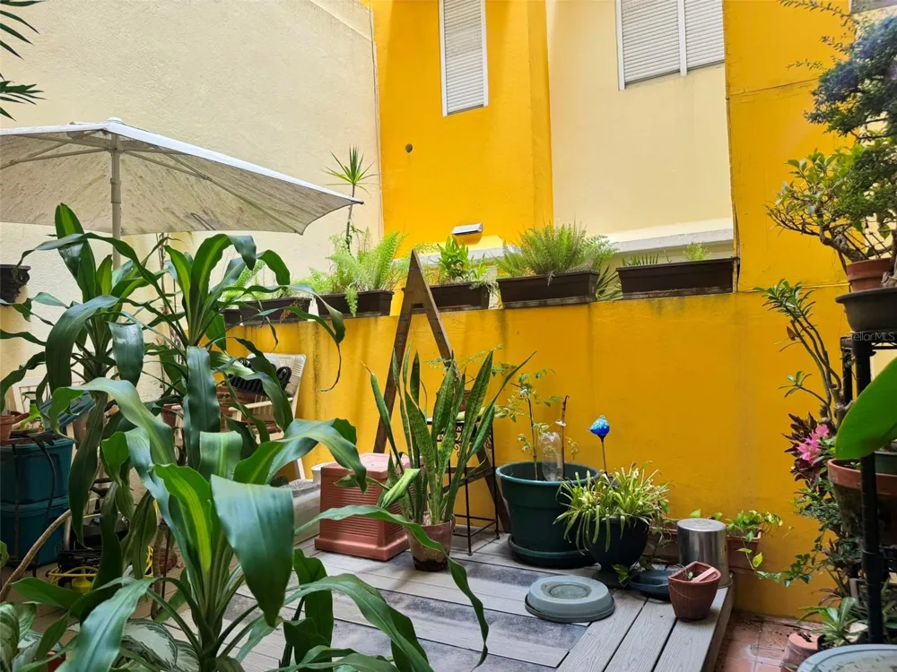 307 Recinto Sur SOLARIA CONDOMINIUM, OLD SAN JUAN #102 San Juan, PR 00901