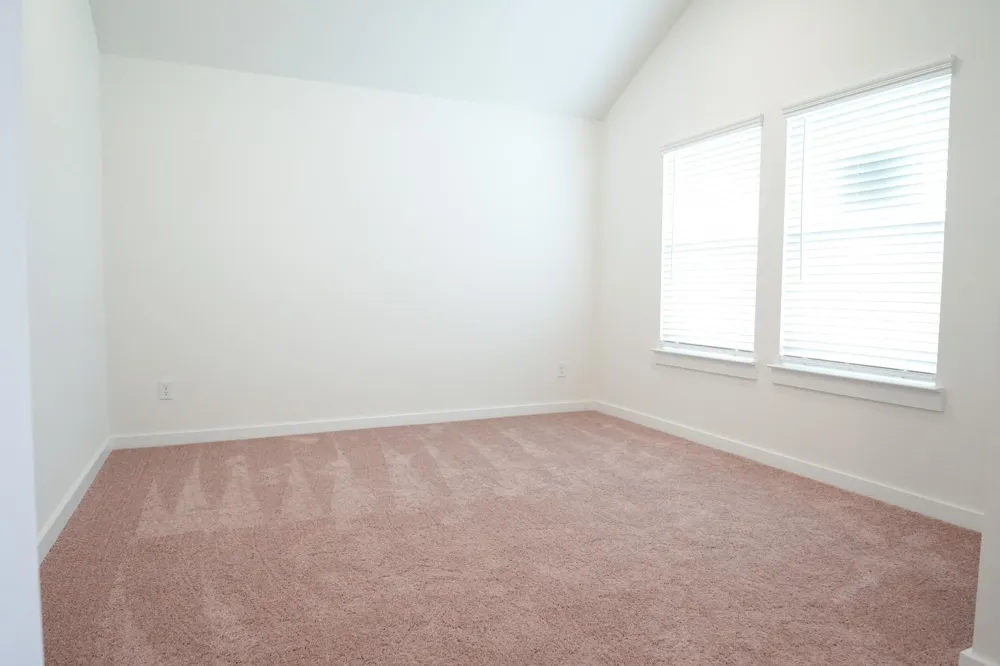 3518 Windmill Palm Drive Manvel, TX 77578
