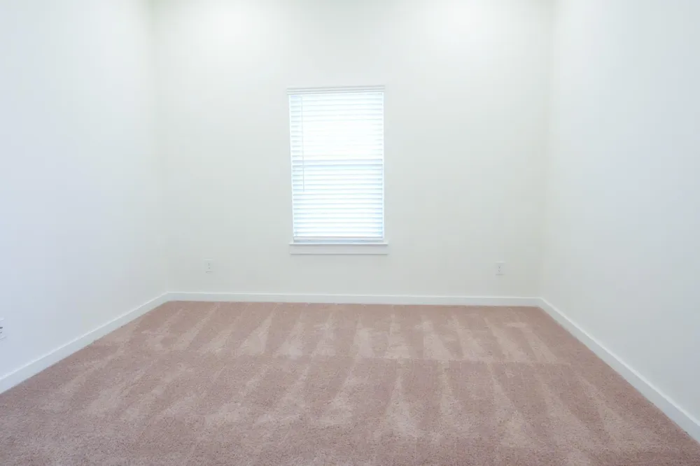 3518 Windmill Palm Drive Manvel, TX 77578