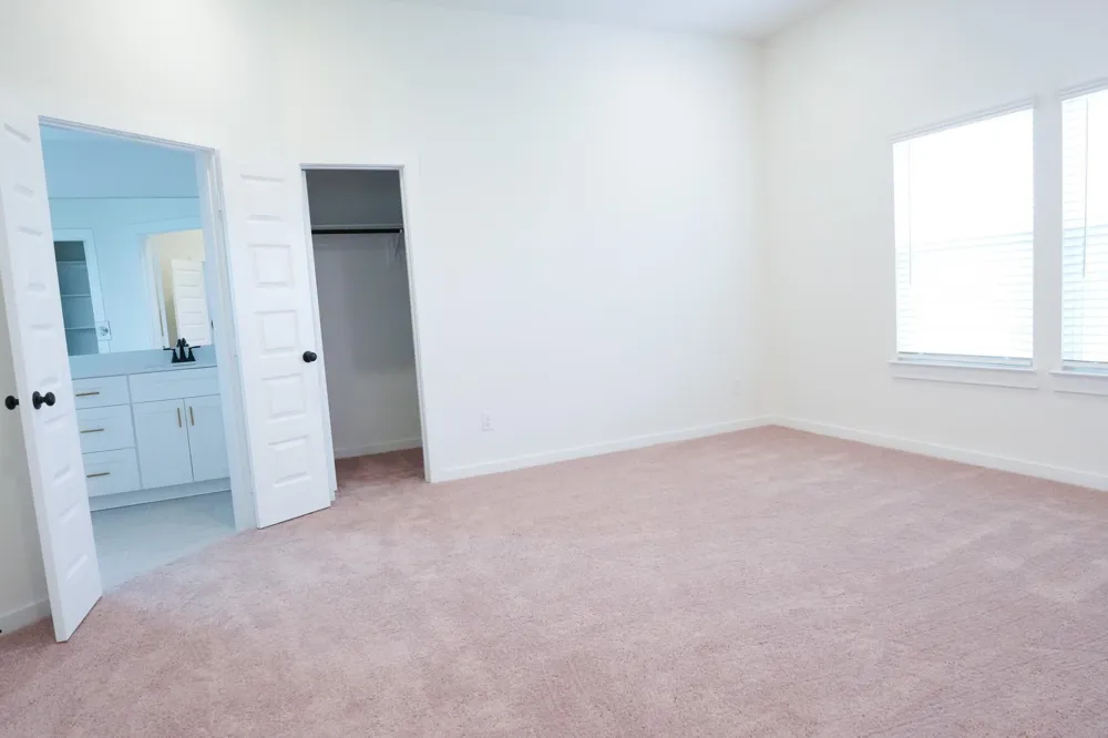 3518 Windmill Palm Drive Manvel, TX 77578