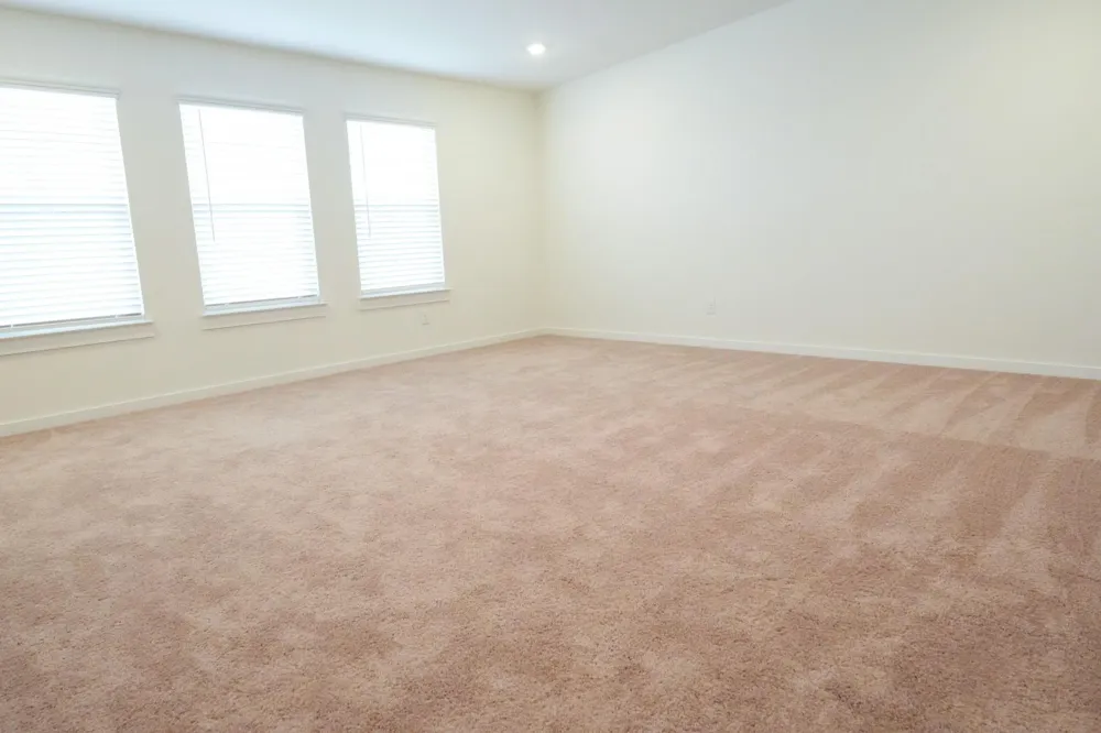 3518 Windmill Palm Drive Manvel, TX 77578
