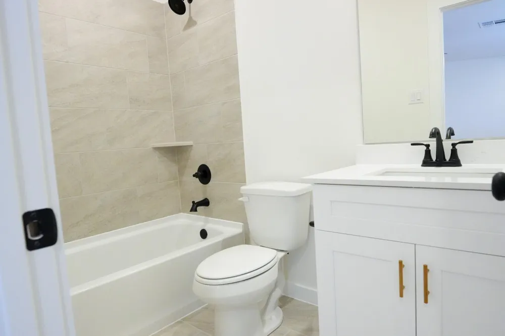 3518 Windmill Palm Drive Manvel, TX 77578