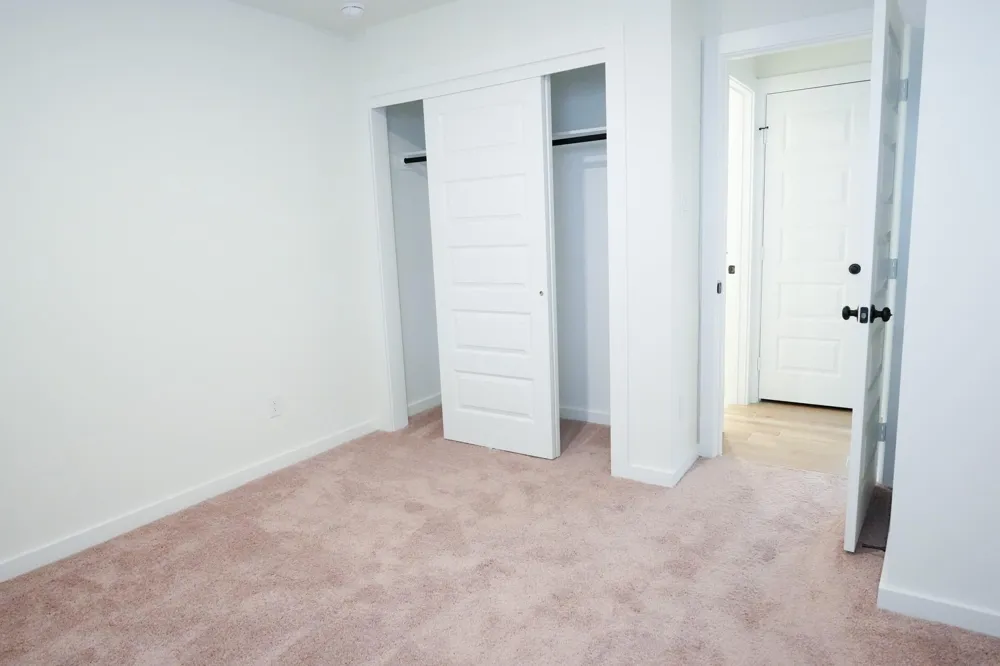 3518 Windmill Palm Drive Manvel, TX 77578