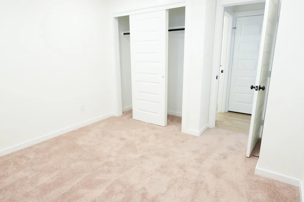 3518 Windmill Palm Drive Manvel, TX 77578