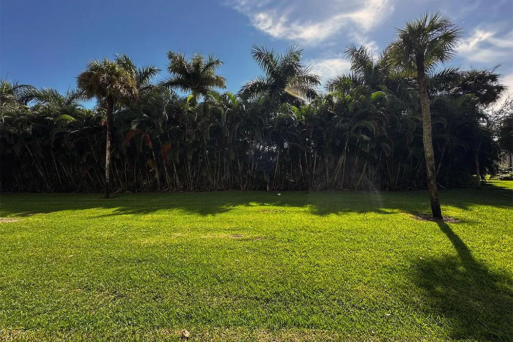 3000 Presidential Way #Apt 106 West Palm Beach, FL 33401