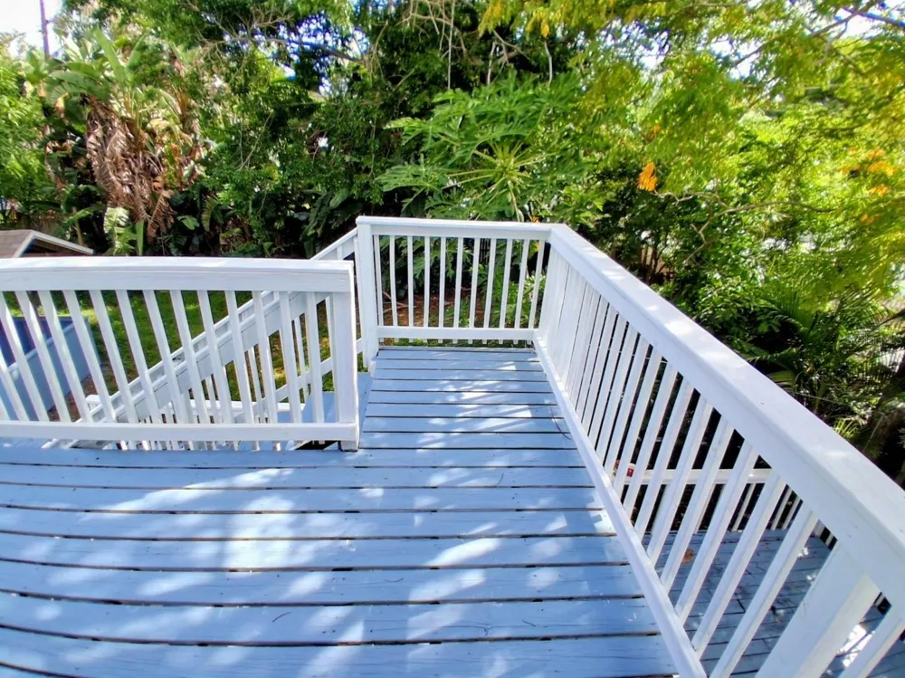 1655 DREW STREET Clearwater, FL 33755