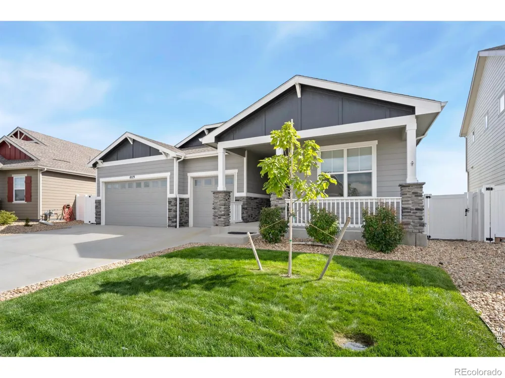 1829 Holloway Drive Windsor, CO 80550