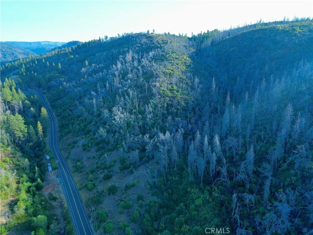 Oro Quincy Highway Berry Creek, CA 95916