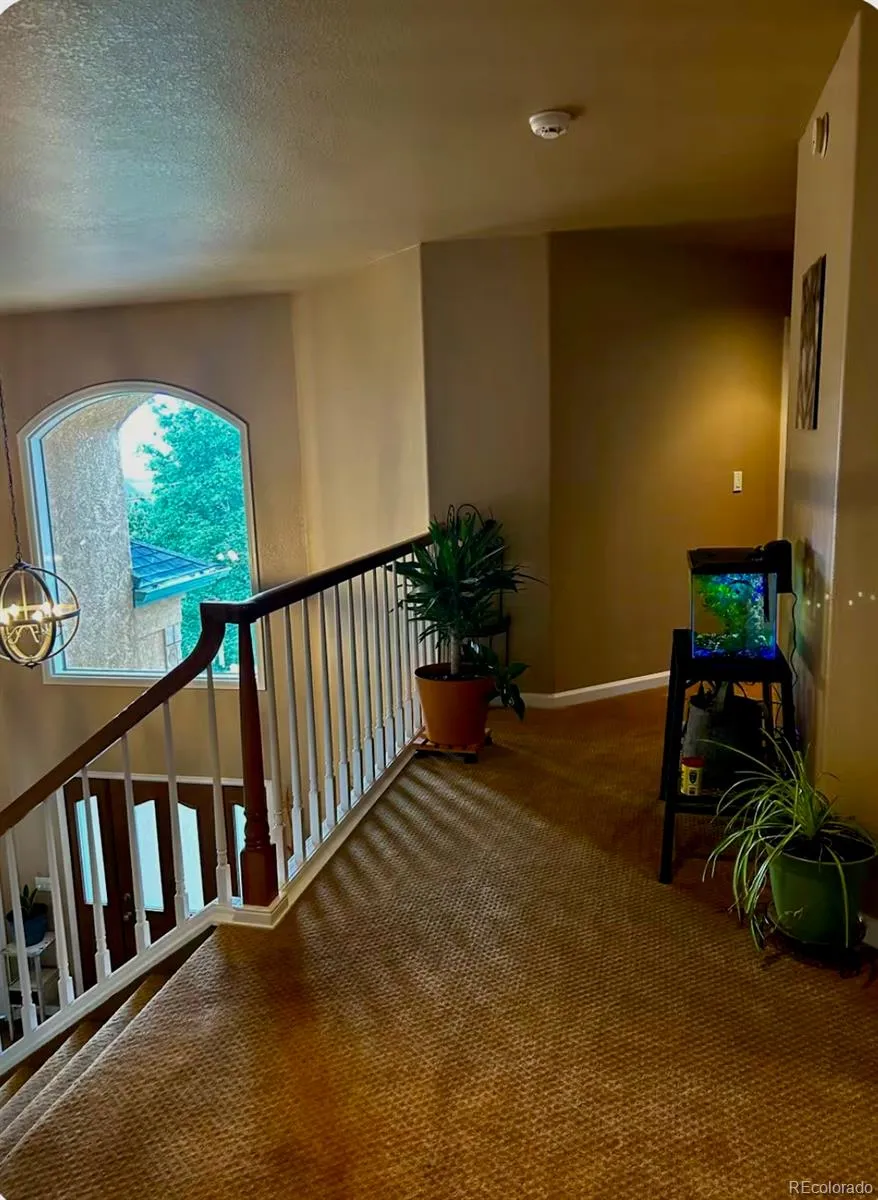 2520 Tamora Way Colorado Springs, CO 80919