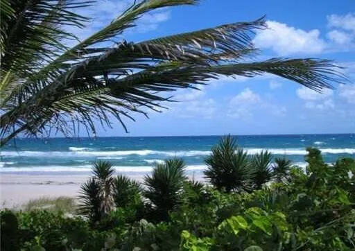 3215 S Ocean Boulevard S #202 Highland Beach, FL 33487
