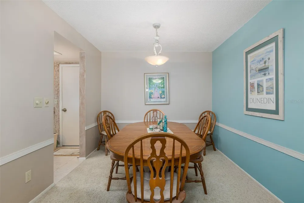 1428 SUMMER ISLE COURT Dunedin, FL 34698