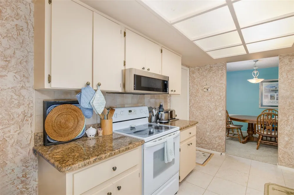 1428 SUMMER ISLE COURT Dunedin, FL 34698