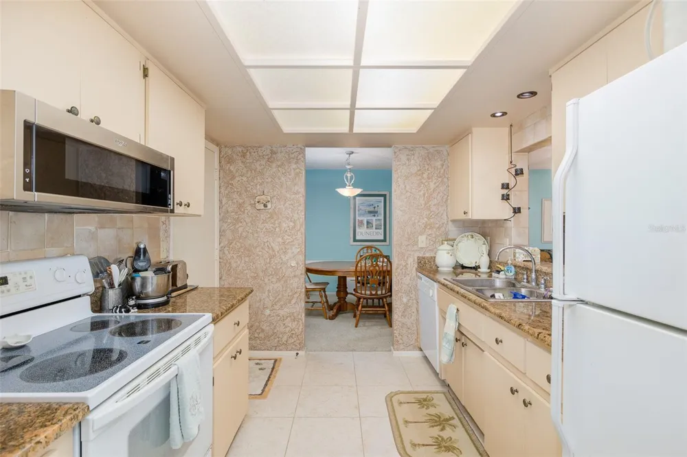 1428 SUMMER ISLE COURT Dunedin, FL 34698