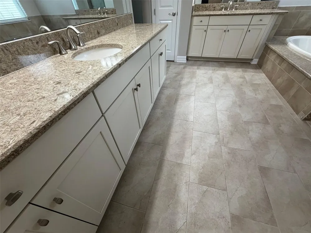 2589 GWYNHURST BOULEVARD Wesley Chapel, FL 33543