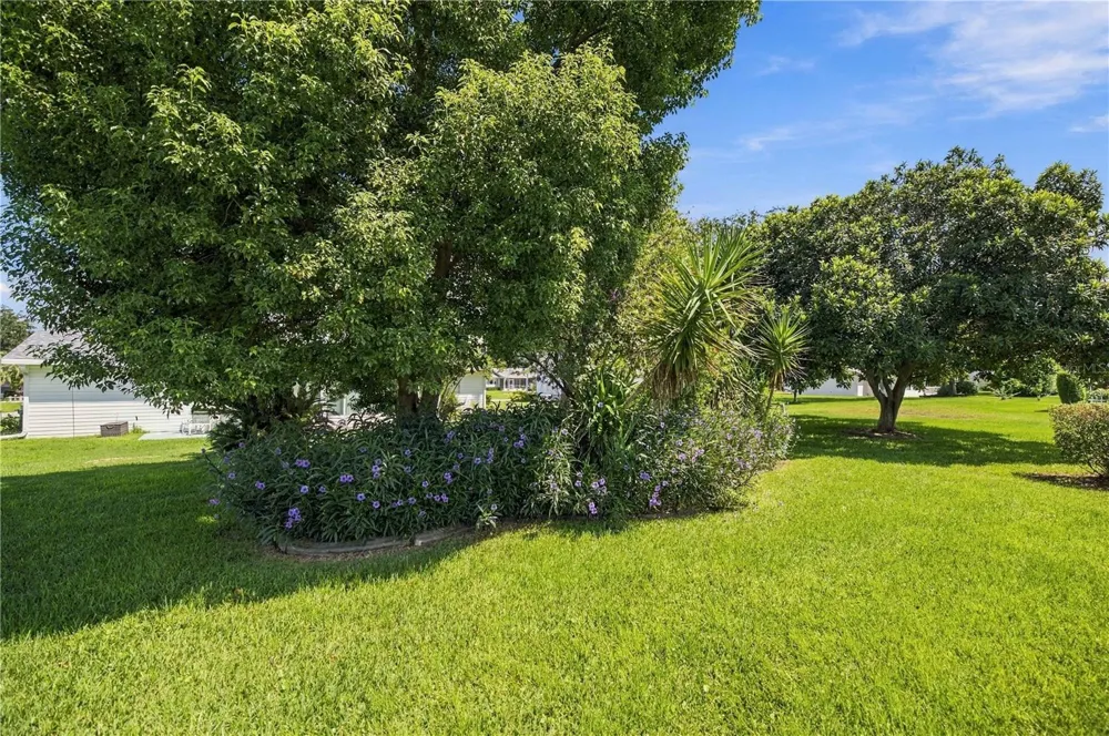 17945 SE 104TH TERRACE Summerfield, FL 34491