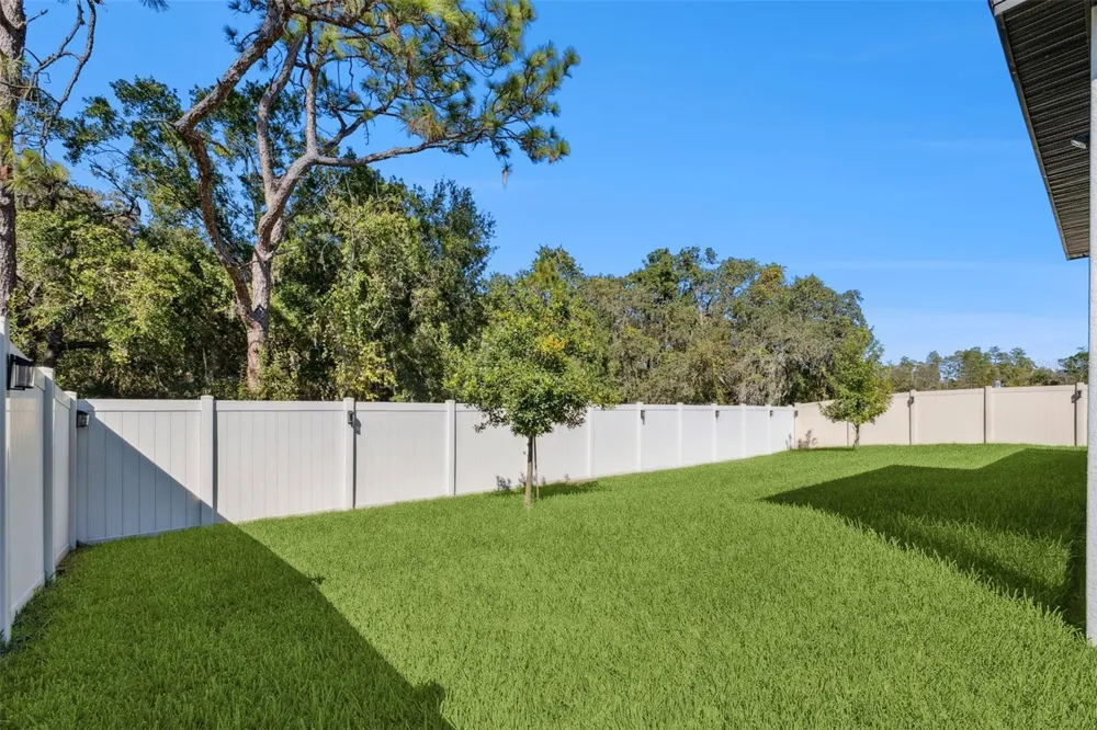 18229 PORFIRIO PLACE Spring Hill, FL 34610