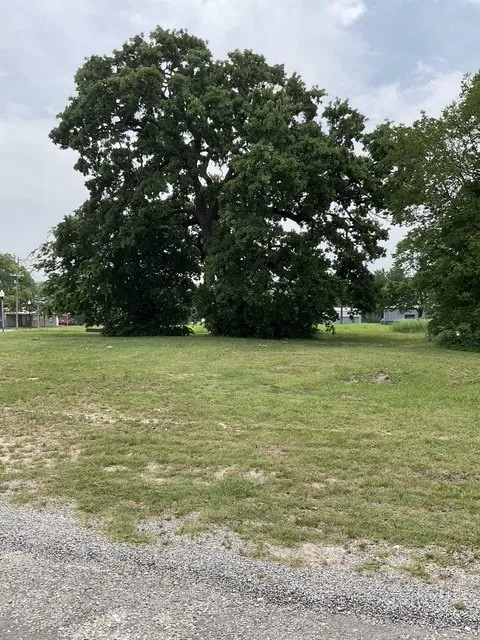 123 Main Street Bonham, TX 75418