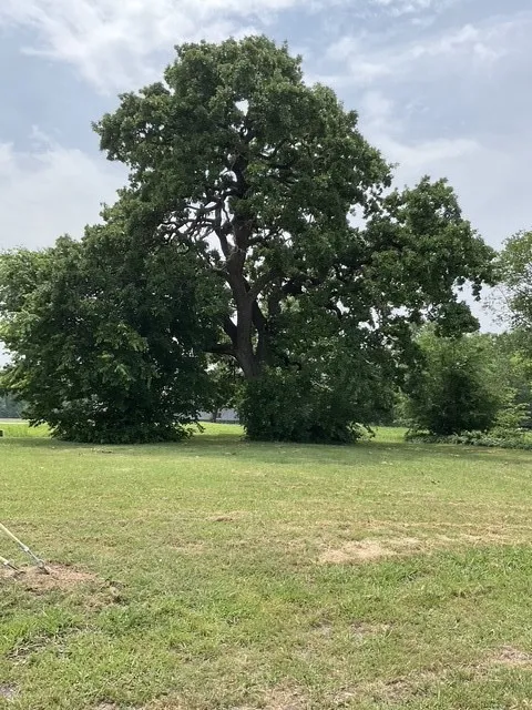 123 Main Street Bonham, TX 75418