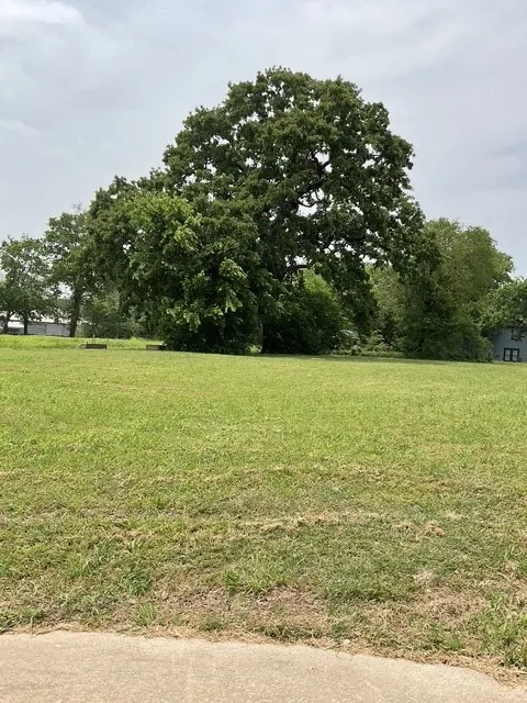 123 Main Street Bonham, TX 75418
