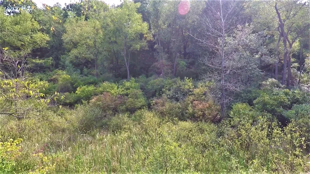 664 Grat Strasse Road Manchester, MI 48158