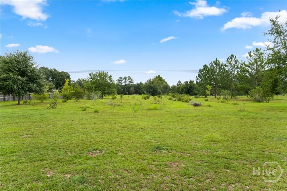 3317 Henry Moxley Rd Cobbtown, GA 30420