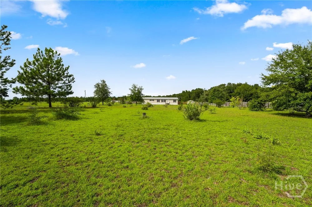 3317 Henry Moxley Rd Cobbtown, GA 30420