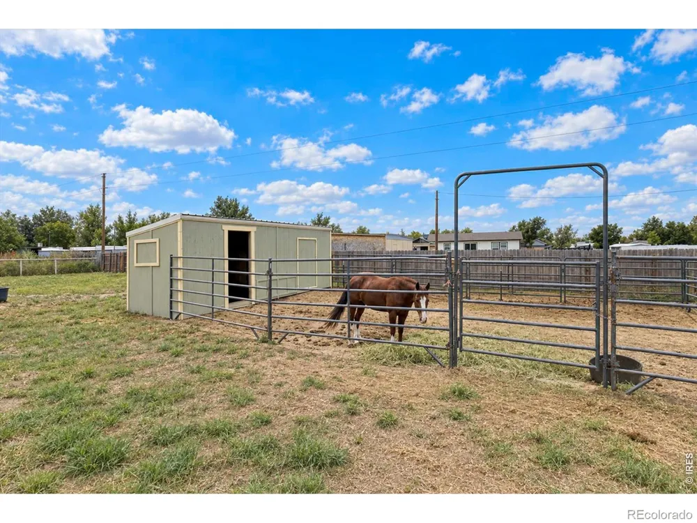 15290 Dale Avenue Fort Lupton, CO 80621