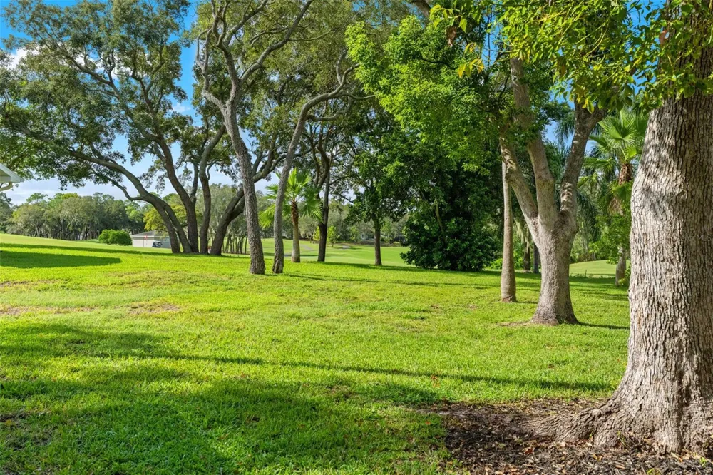 3121 DOUBLE EAGLE COURT Spring Hill, FL 34606