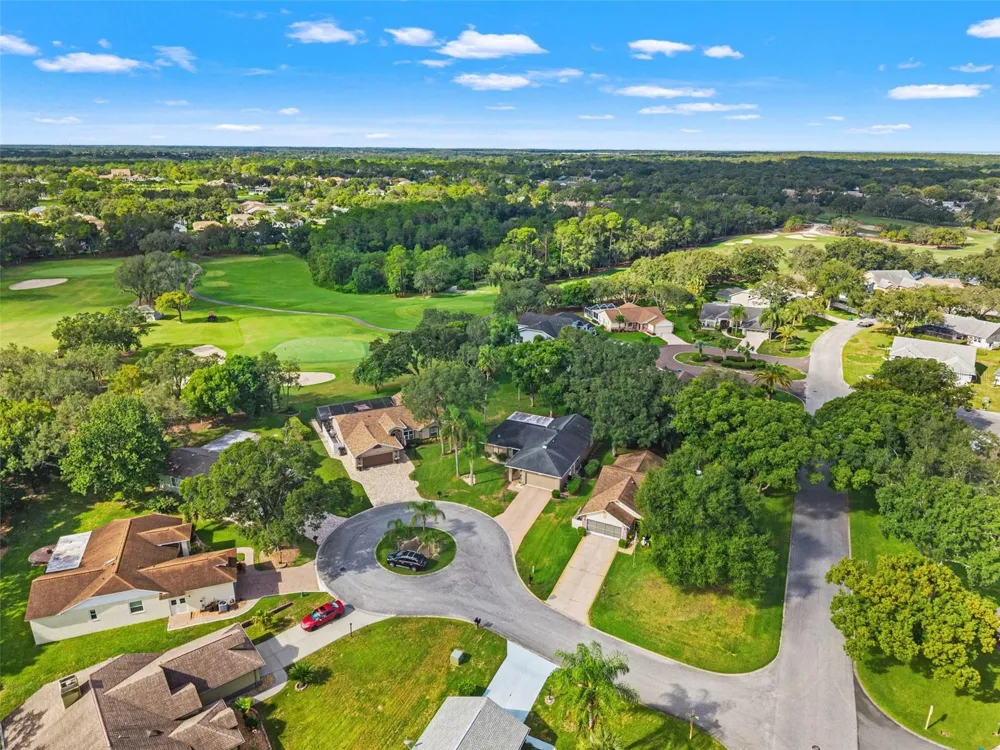 3121 DOUBLE EAGLE COURT Spring Hill, FL 34606