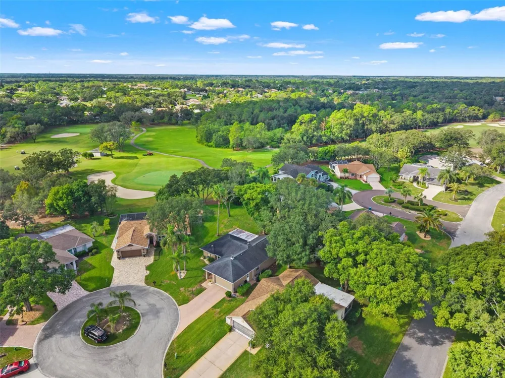 3121 DOUBLE EAGLE COURT Spring Hill, FL 34606