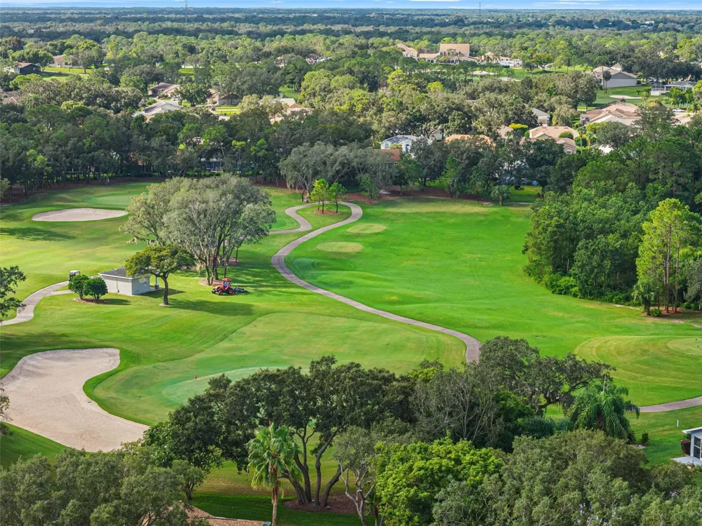 3121 DOUBLE EAGLE COURT Spring Hill, FL 34606