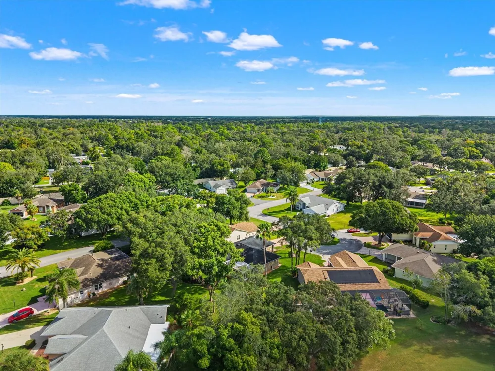 3121 DOUBLE EAGLE COURT Spring Hill, FL 34606
