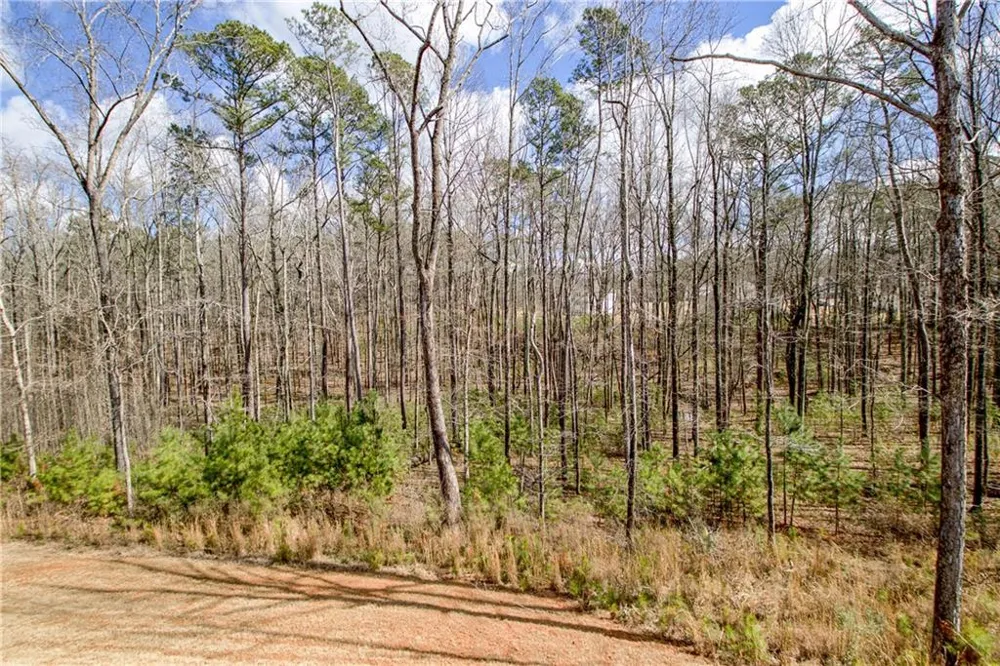 169 Emery Nell Lane Newnan, GA 30263