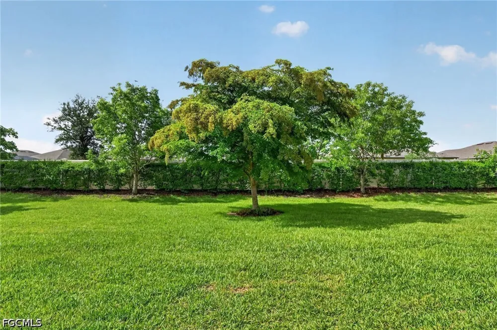 Apple Blossom Drive Alva, FL 33920
