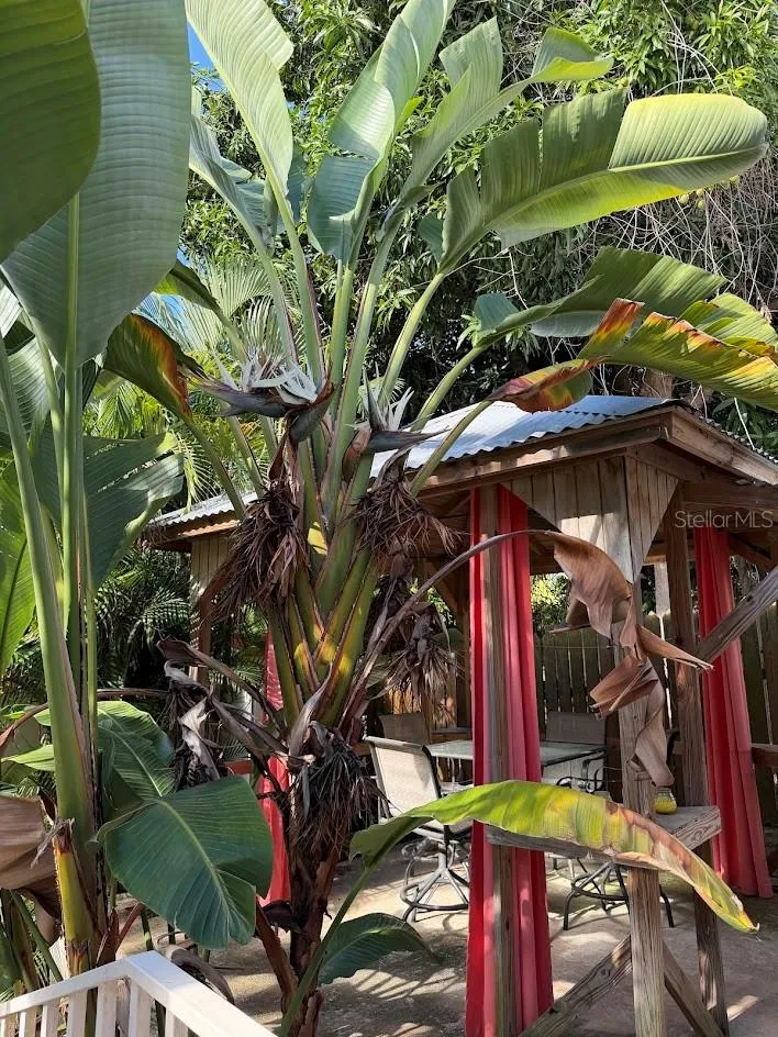 425 MAGNOLIA Vieques, PR 00765