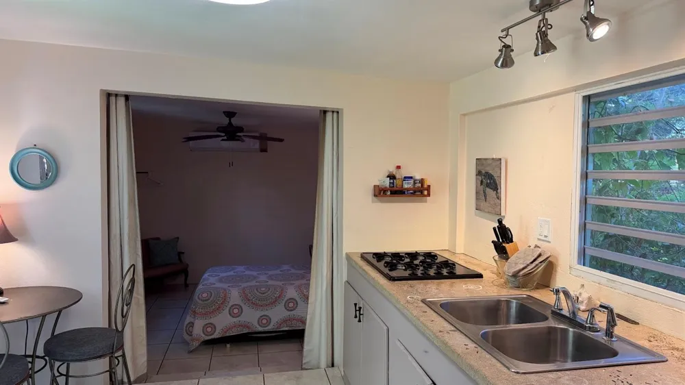 425 MAGNOLIA Vieques, PR 00765