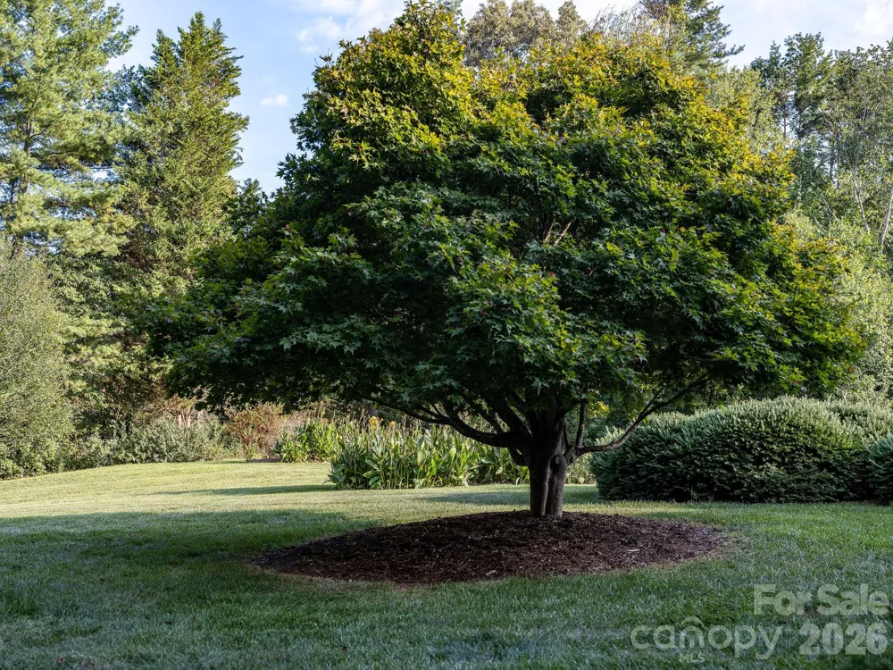 13 Lowry Lane Weaverville, NC 28787