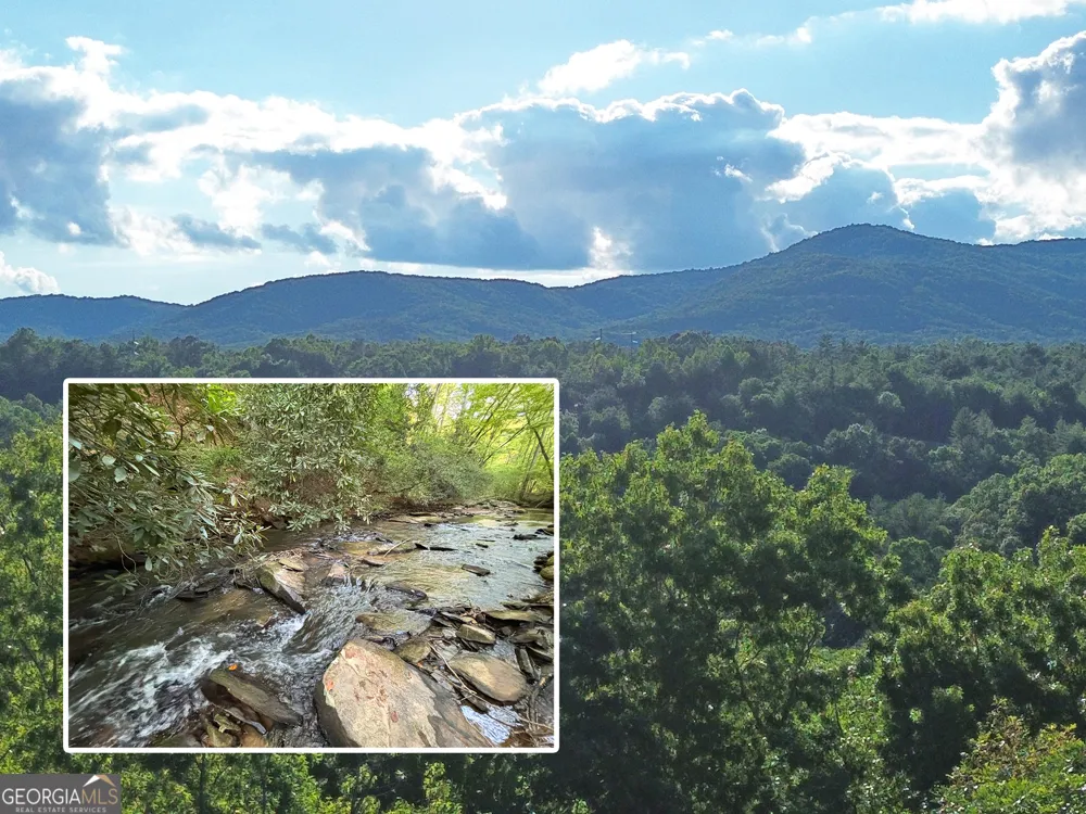 LOTS1920 Mt. Springer RD Ellijay, GA 30540