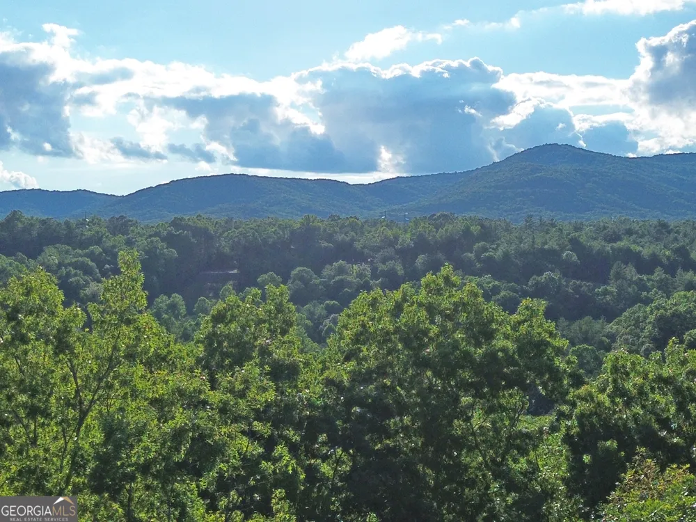 LOTS1920 Mt. Springer RD Ellijay, GA 30540